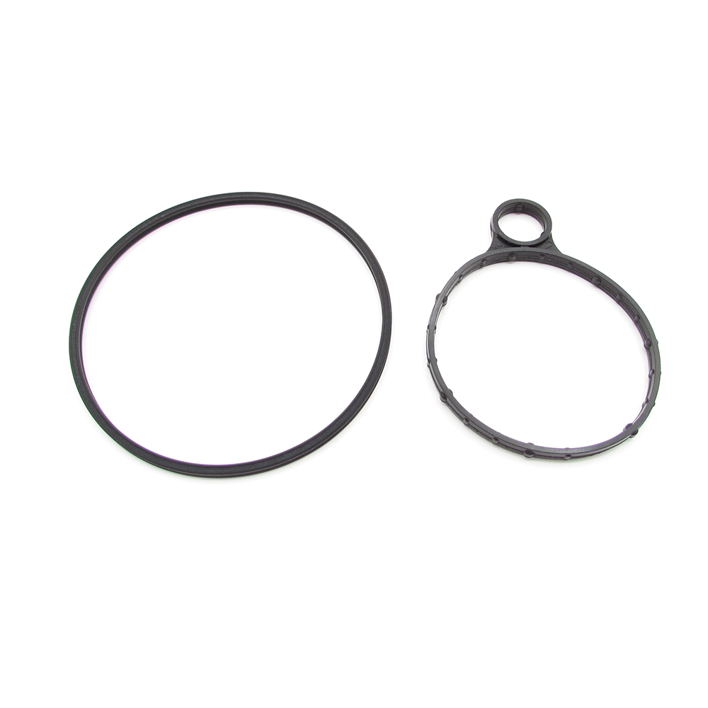 Ford BB5Z-2A451-BB Vacuum pump seal kit