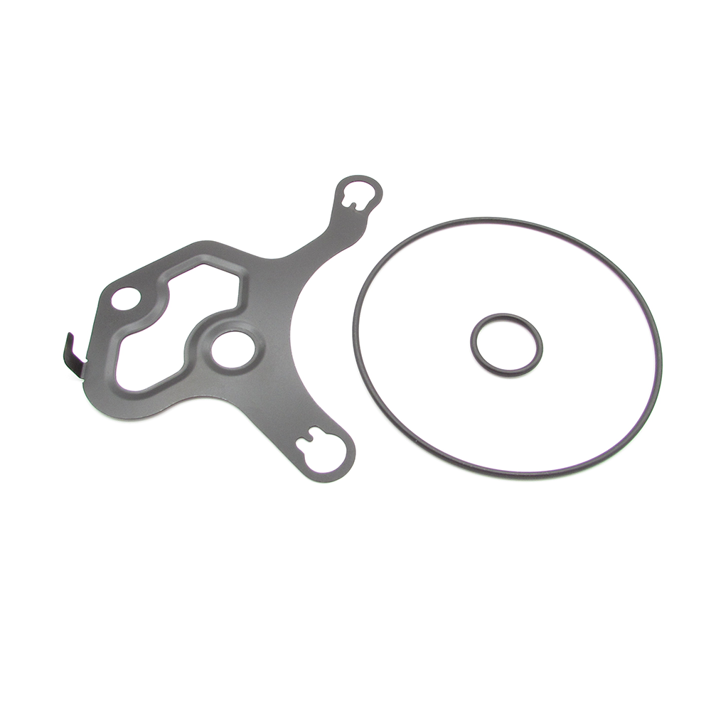 Buick Cadillac Chevrolet GMC 12667187 Vacuum pump seal kit