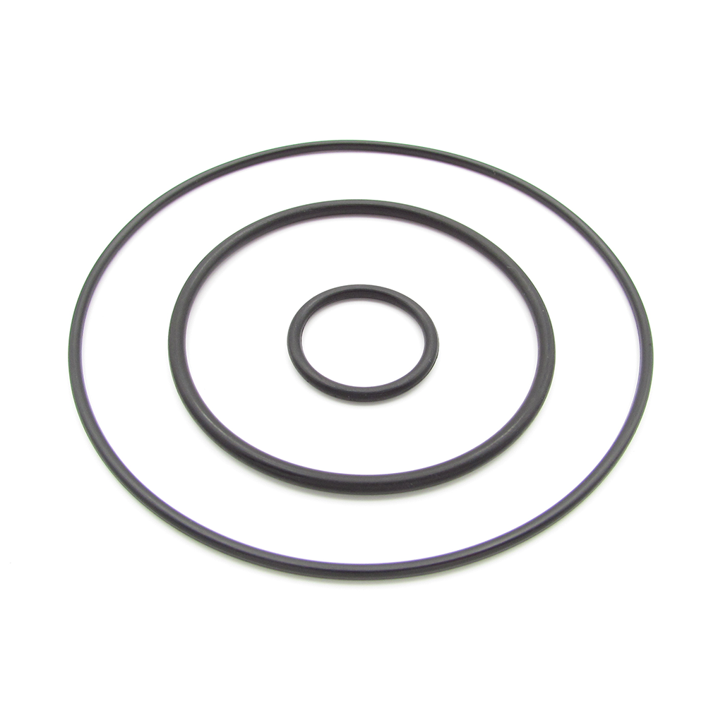 Citroen Peugeot 9801888780 Vacuum pump seal repair kit