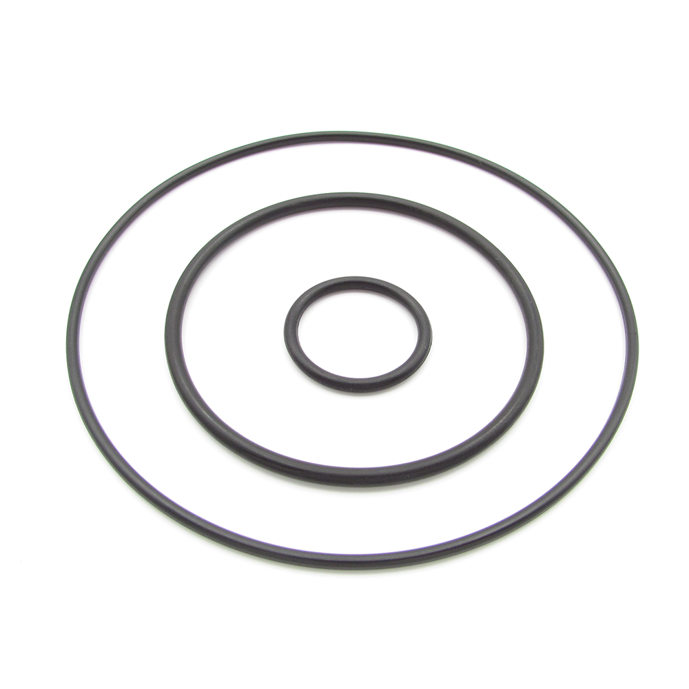 Ford 1313802 Vacuum pump seal repair kit