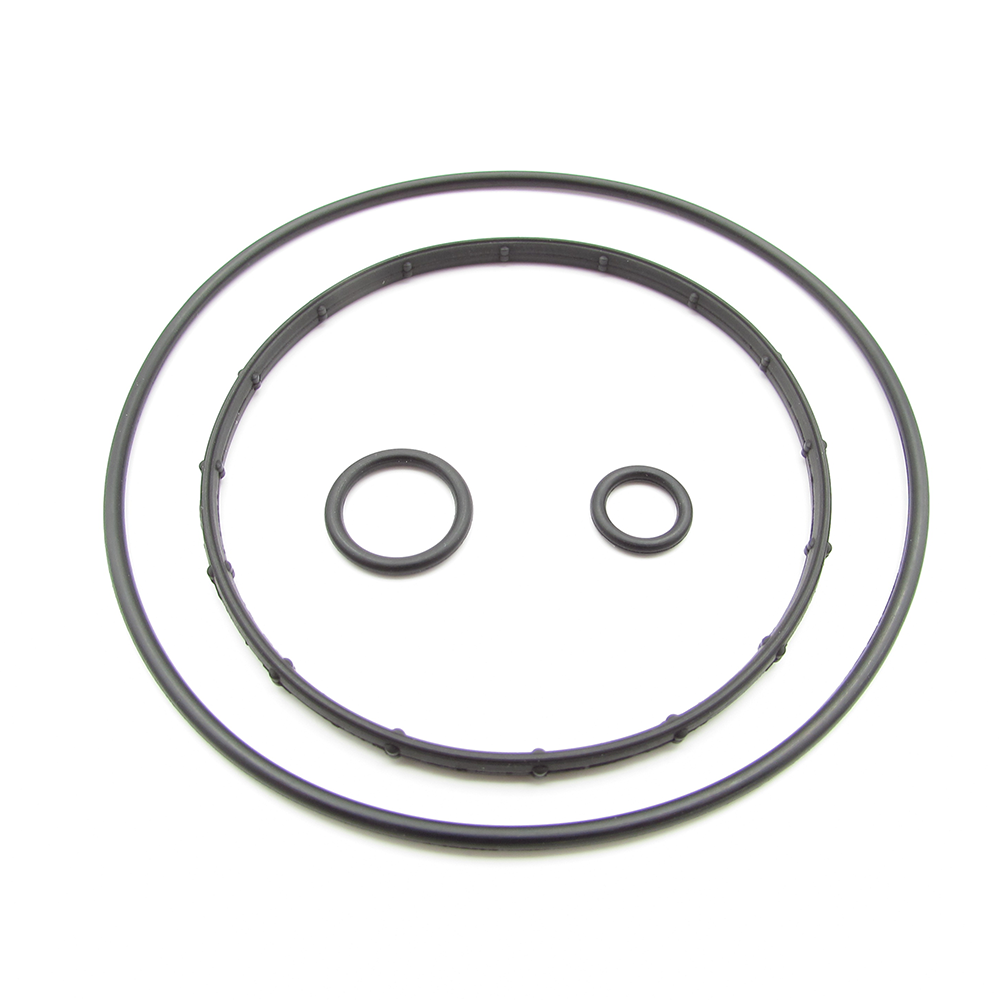 MINI N16 Vacuum pump seal kit