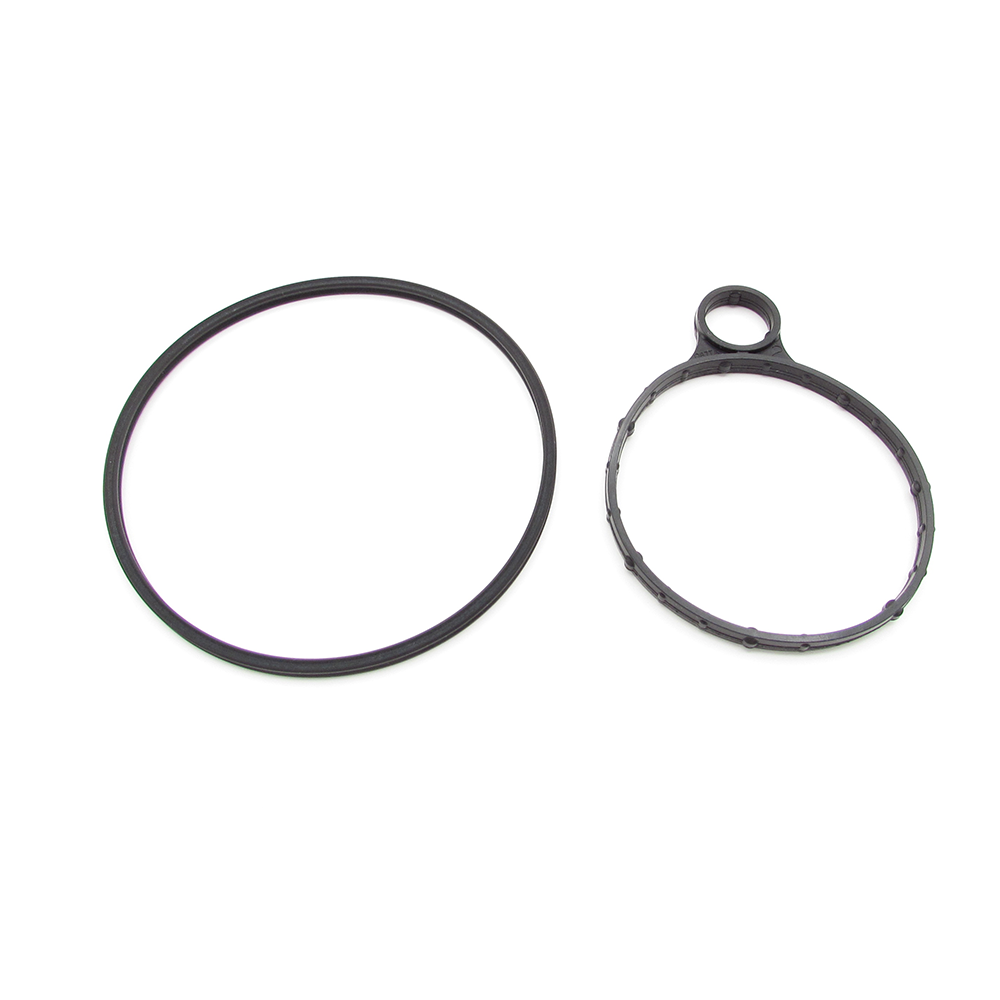 Land Rover LR025601 Vacuum pump seal kit