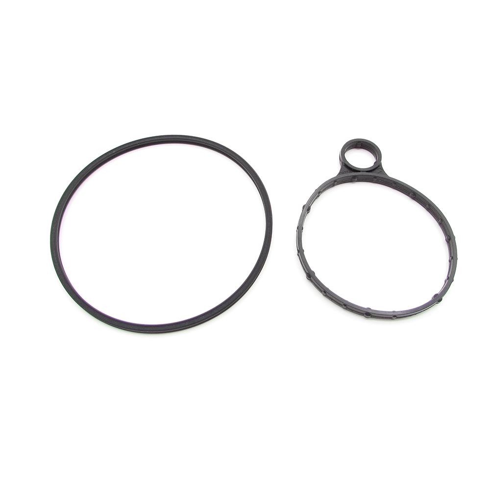 Ford 5148233 Vacuum pump seal kit