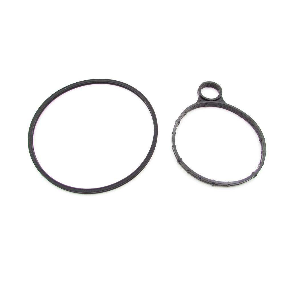 Ford BB5Z-2A451-B Vacuum pump seal kit