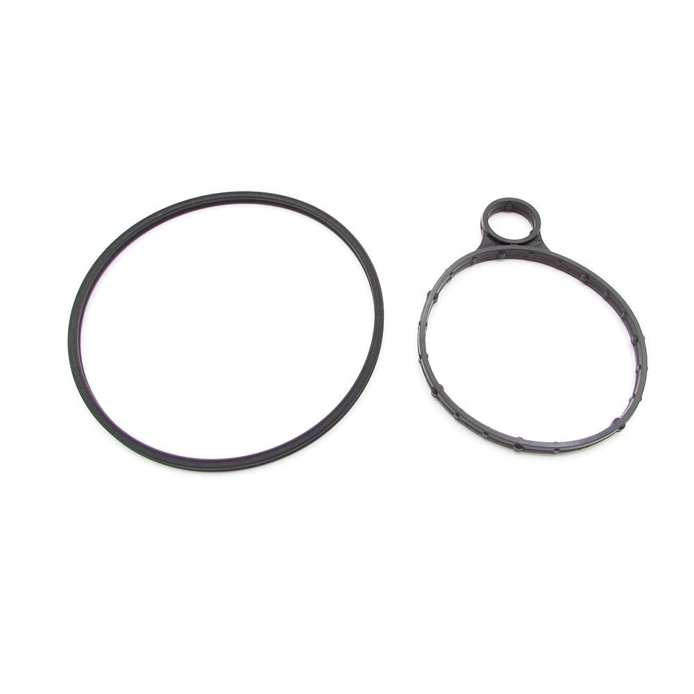 Ford BB5Z-2A451-A Vacuum pump seal kit