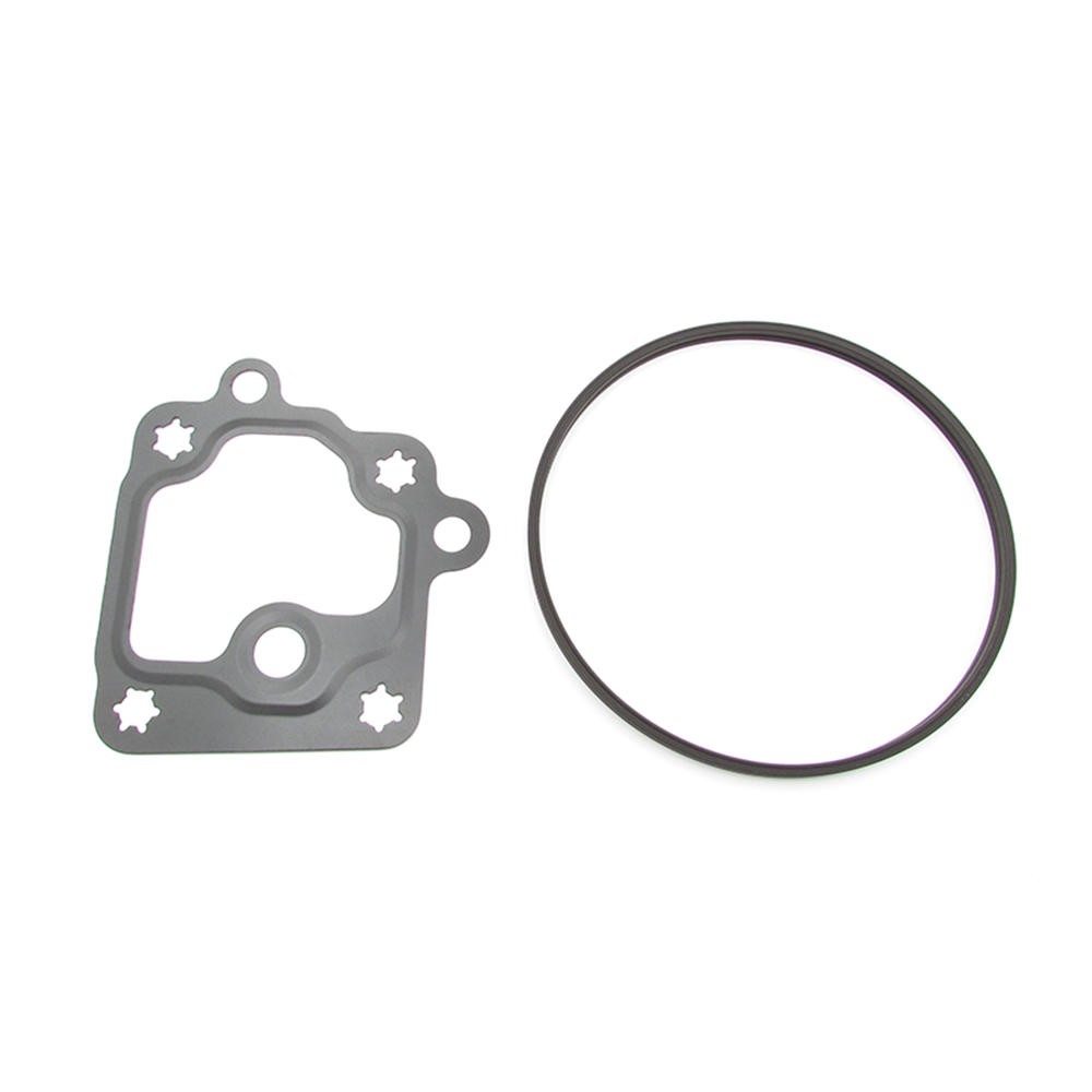 Buick Cadillac Chevrolet GMC 12659655 Vacuum pump seal kit