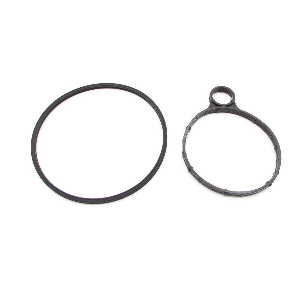 Ford BB5Z-2A451-BD Vacuum pump seal kit