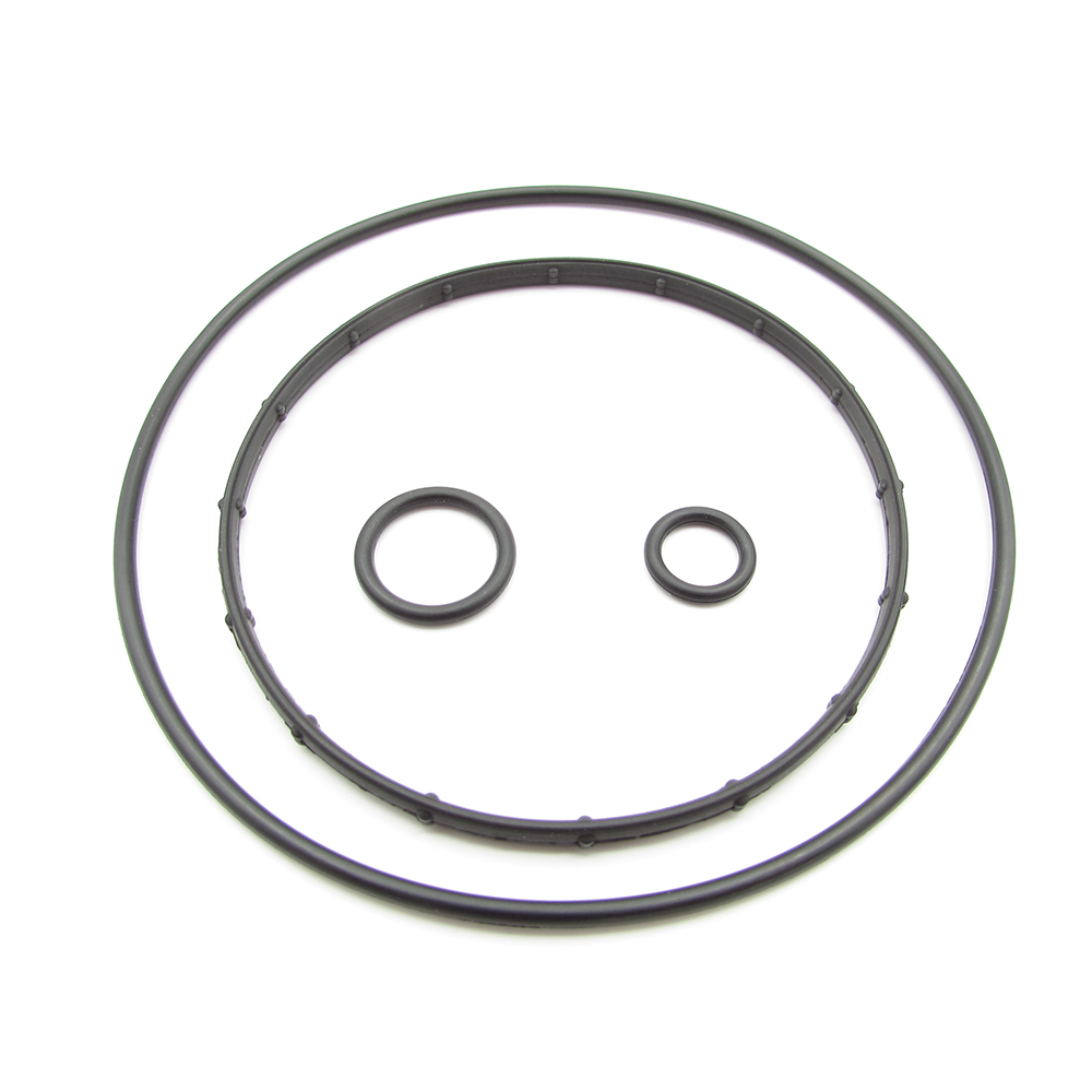 MINI N18 Vacuum pump seal kit