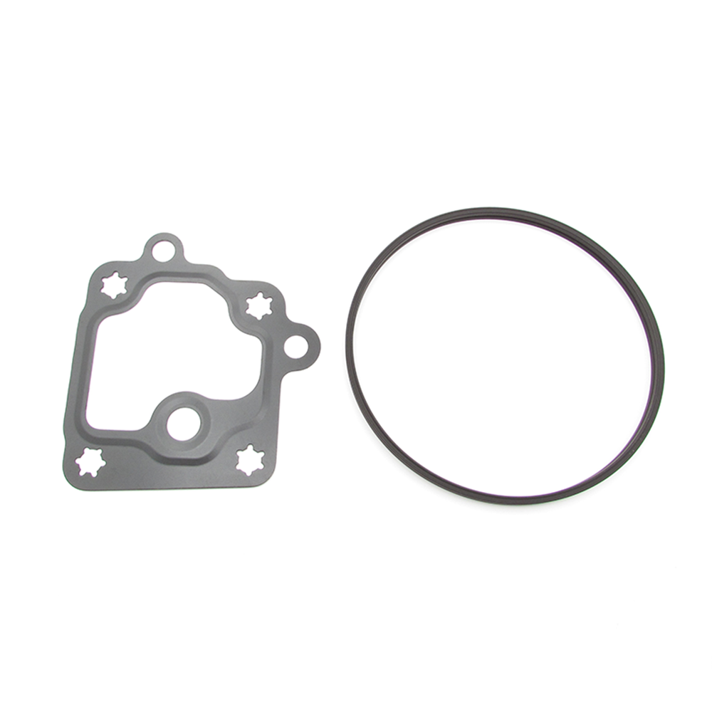 Buick Cadillac Chevrolet GMC 12660004 Vacuum pump seal kit